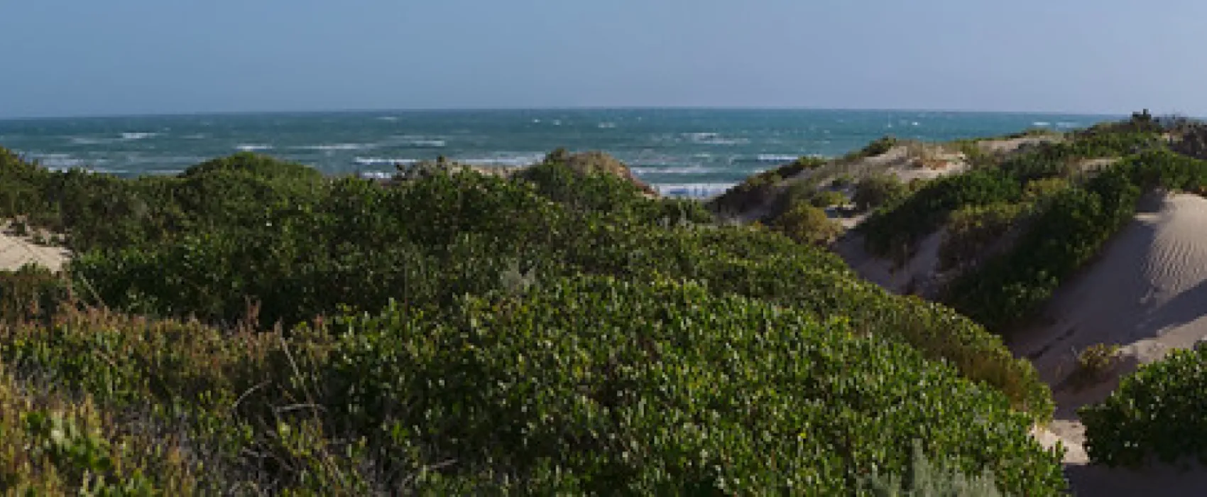 42 Mile Crossing Campground