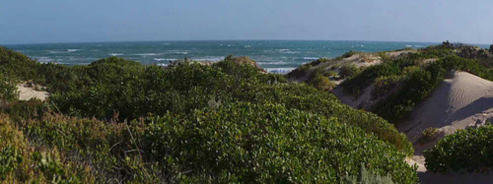 42 Mile Crossing Campground