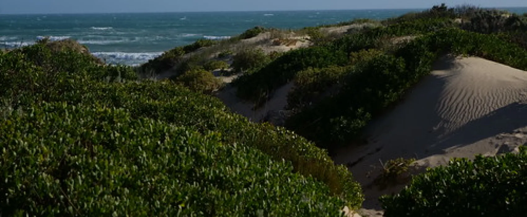 42 Mile Crossing Campground