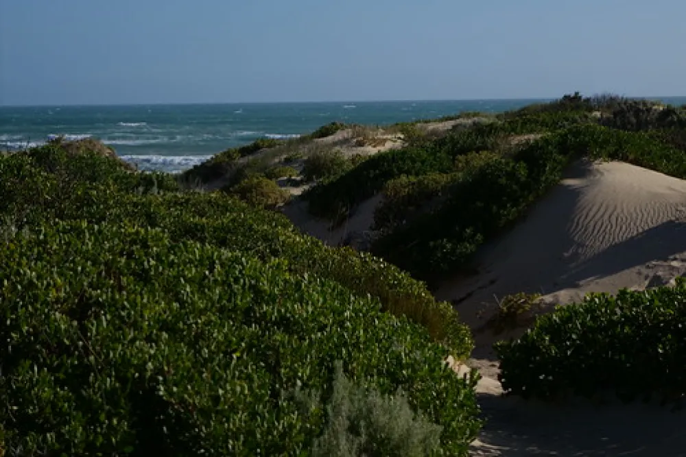 42 Mile Crossing Campground