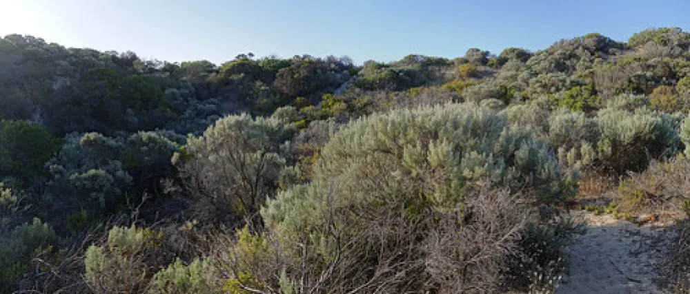 42 Mile Crossing Campground