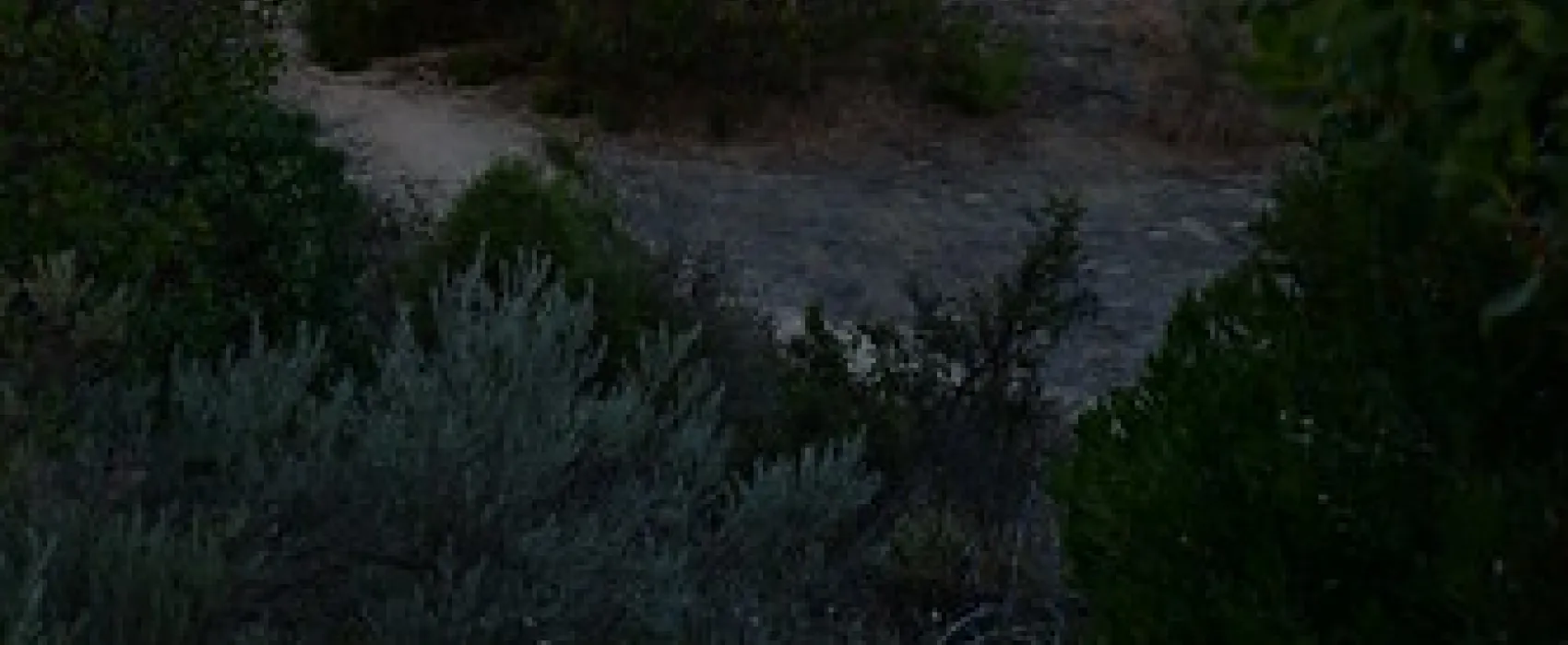 42 Mile Crossing Campground