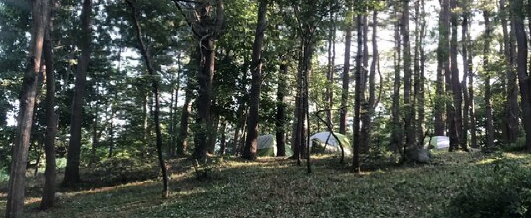 Cape Ann Campsite