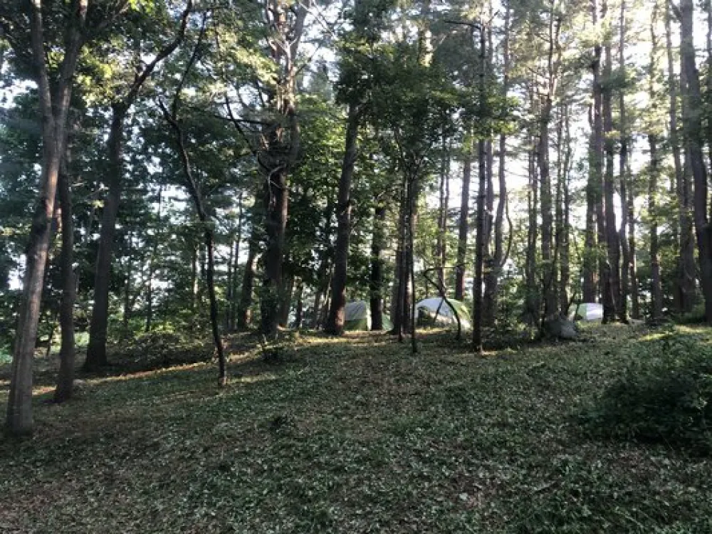 Cape Ann Campsite