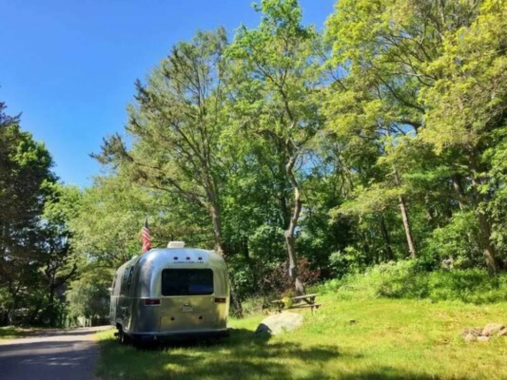 Cape Ann Campsite