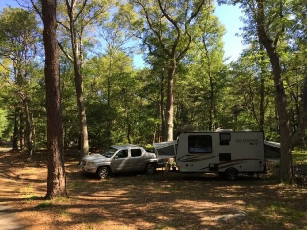 Cape Ann Campsite