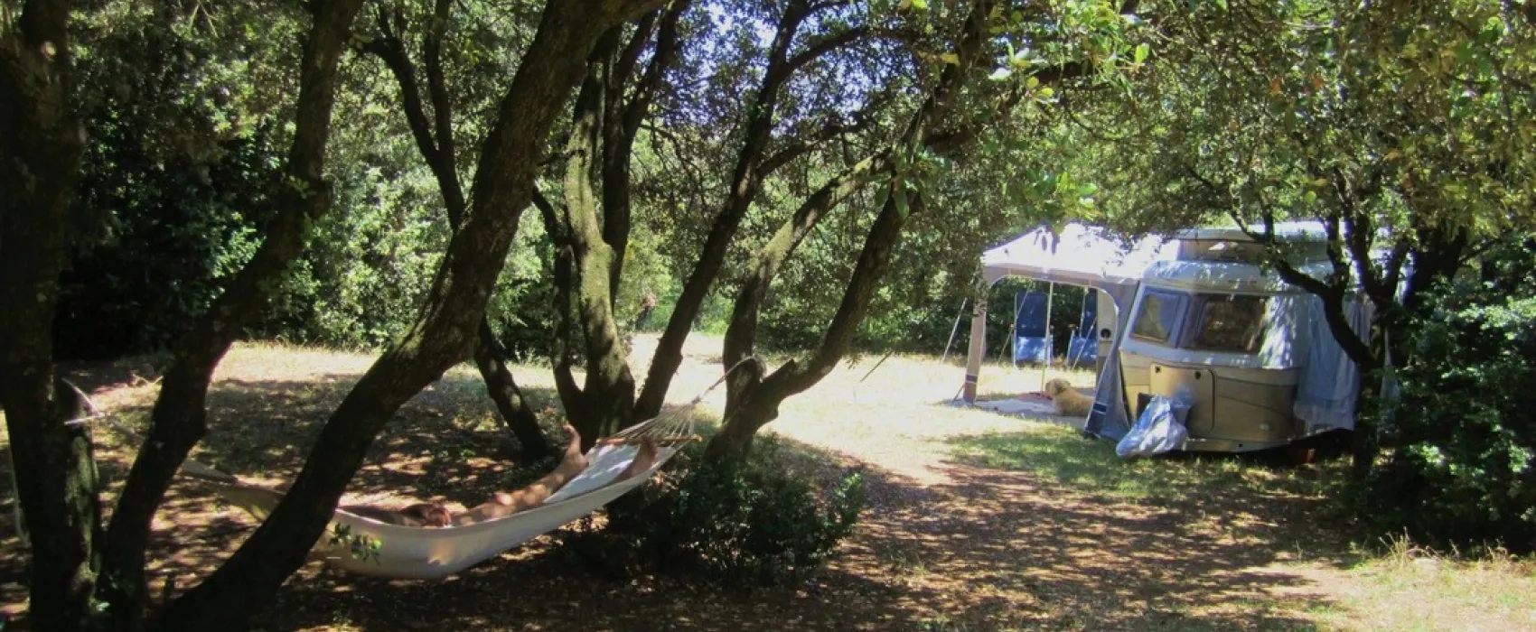 Le Domaine de la Louvière