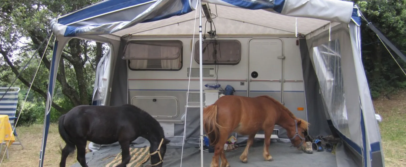 Le Domaine de la Louvière