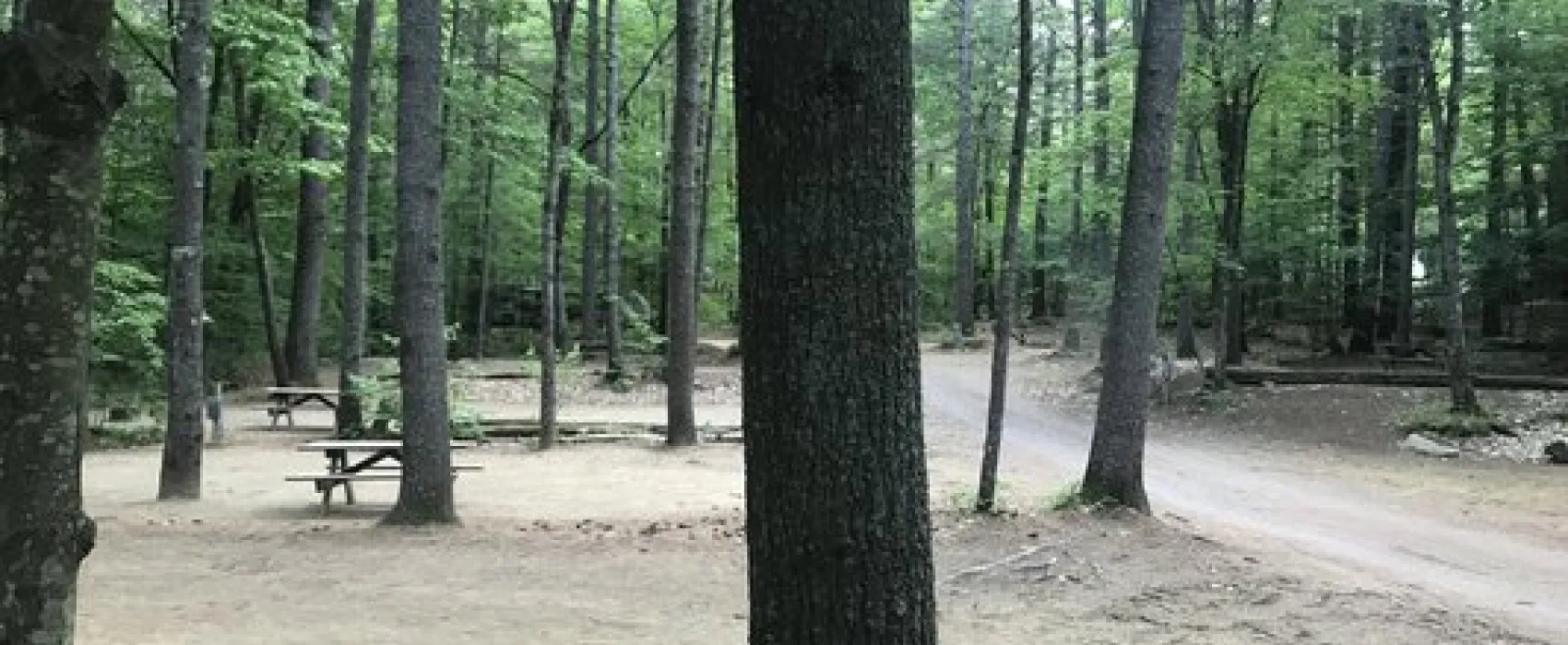 Poland Spring Campground