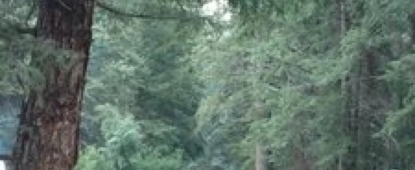 Aspen Glade Campground