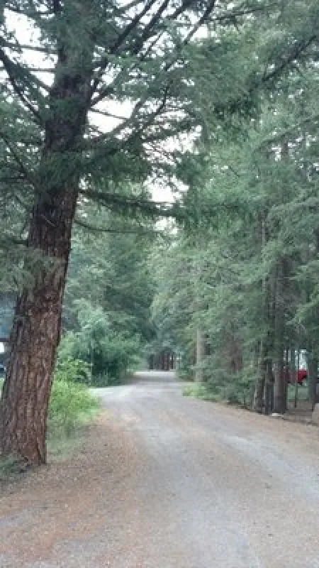 Aspen Glade Campground