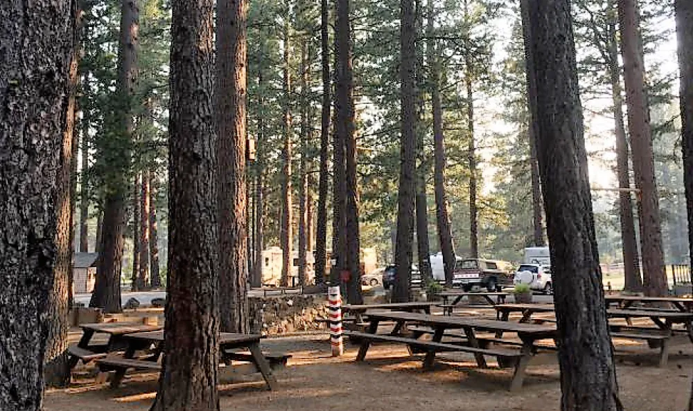 Sierra Springs Rv Resort