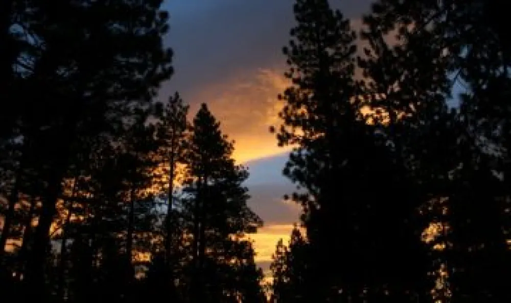 Sierra Springs Rv Resort