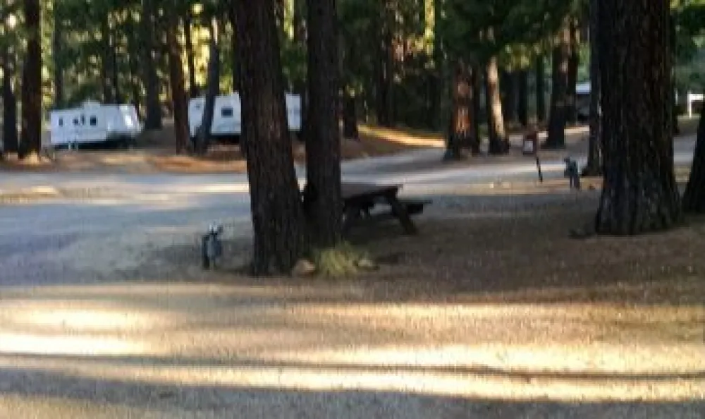 Sierra Springs Rv Resort