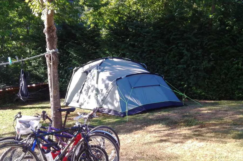 il Melo (in Peveragno)