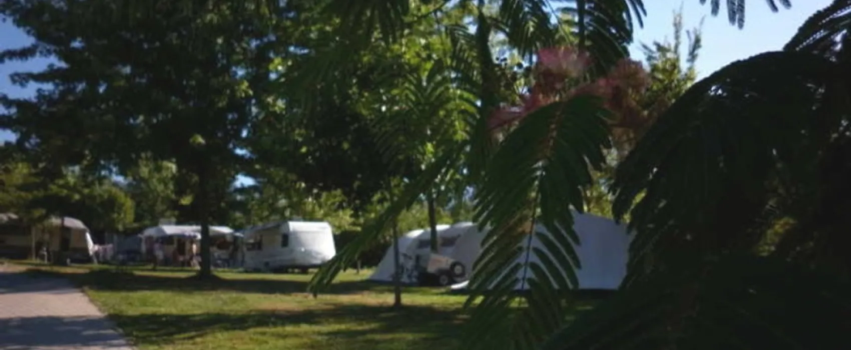 il Melo (in Peveragno)