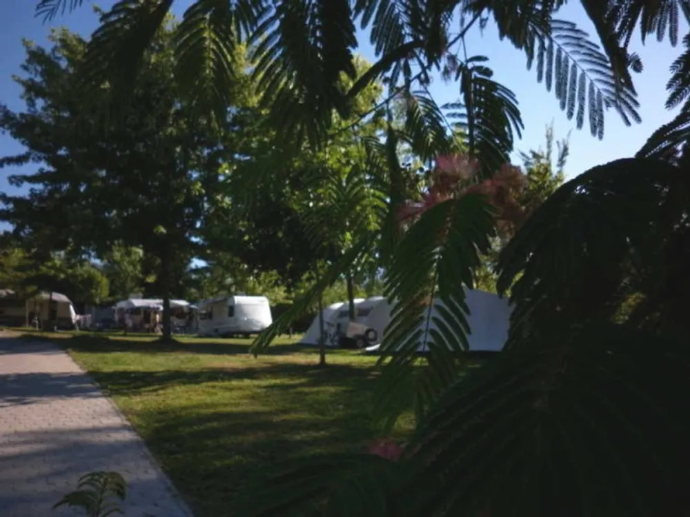 il Melo (in Peveragno)