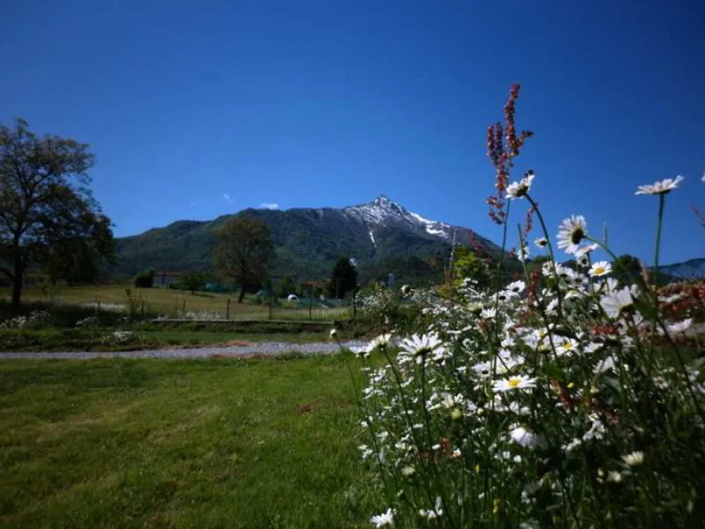 il Melo (in Peveragno)