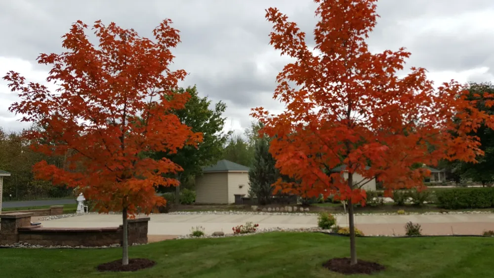 Traverse Bay RV Resort
