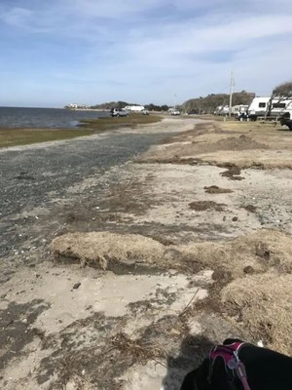 Frisco Woods Campground