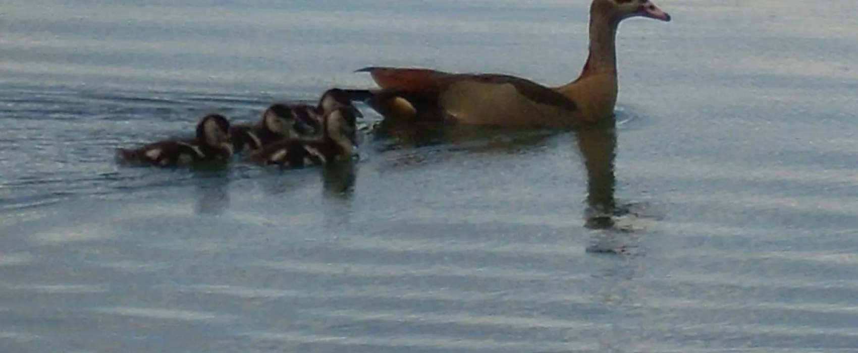 Rastatter Freizeitparadies