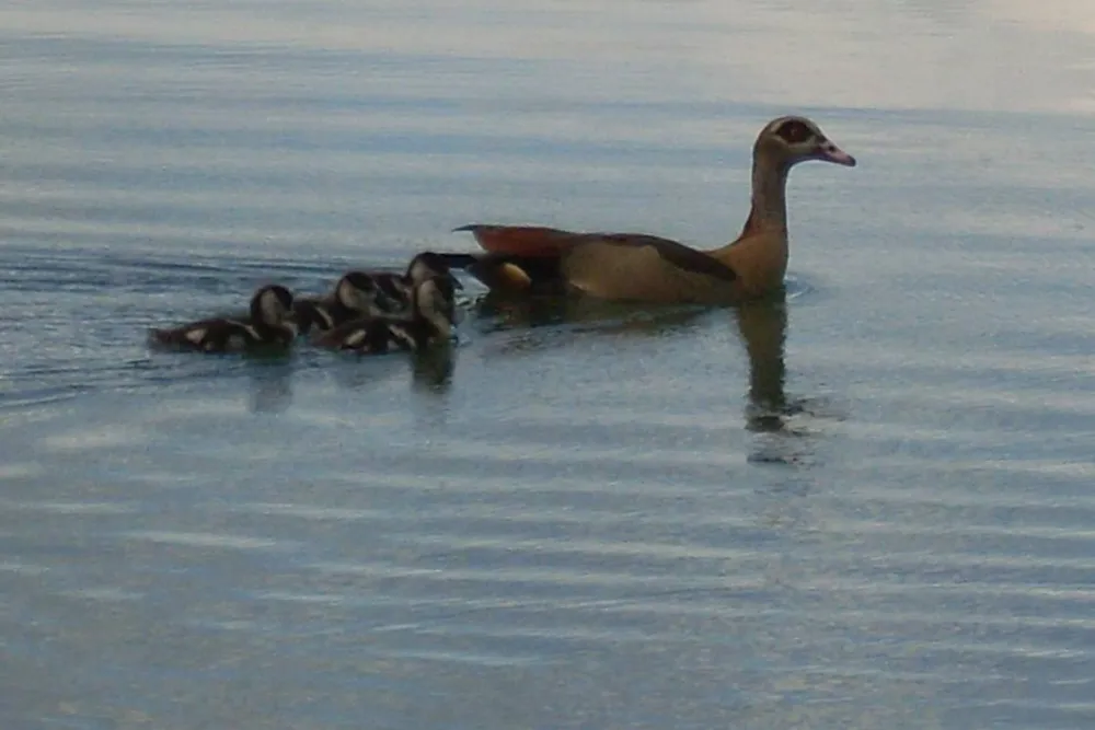 Rastatter Freizeitparadies