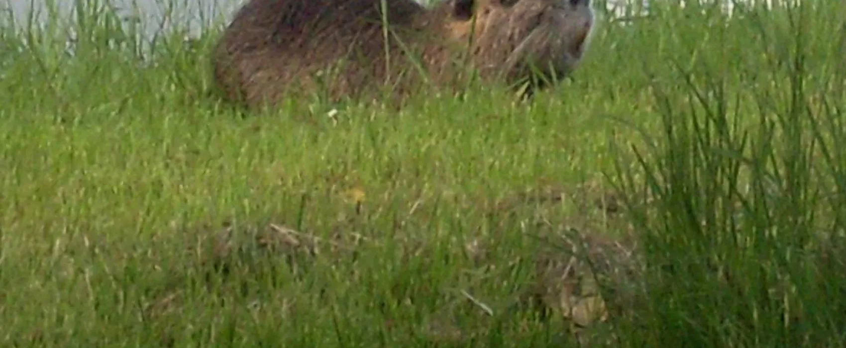 Rastatter Freizeitparadies