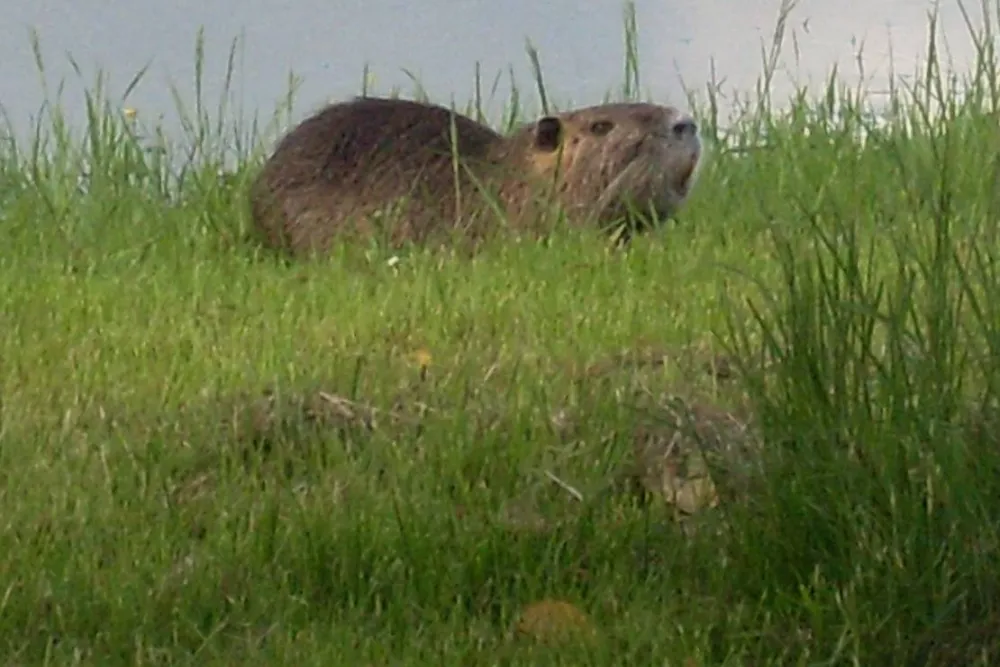 Rastatter Freizeitparadies