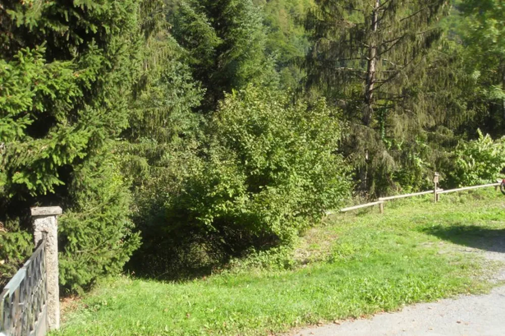 Camping Municipal De La Baume