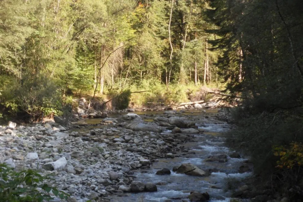 Camping Municipal De La Baume