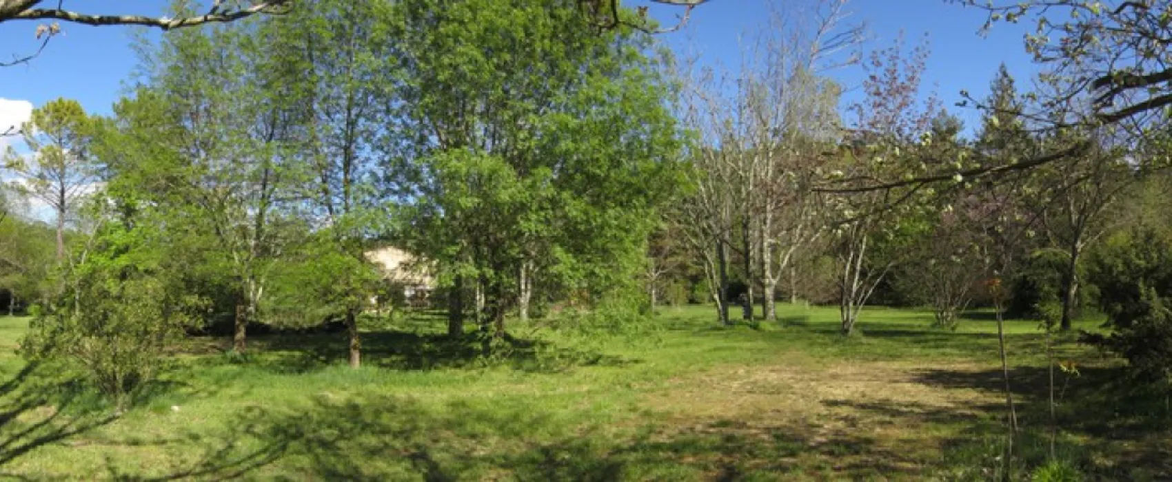 CynoCamp Terre neuve