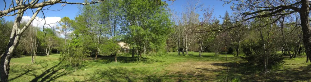 CynoCamp Terre neuve