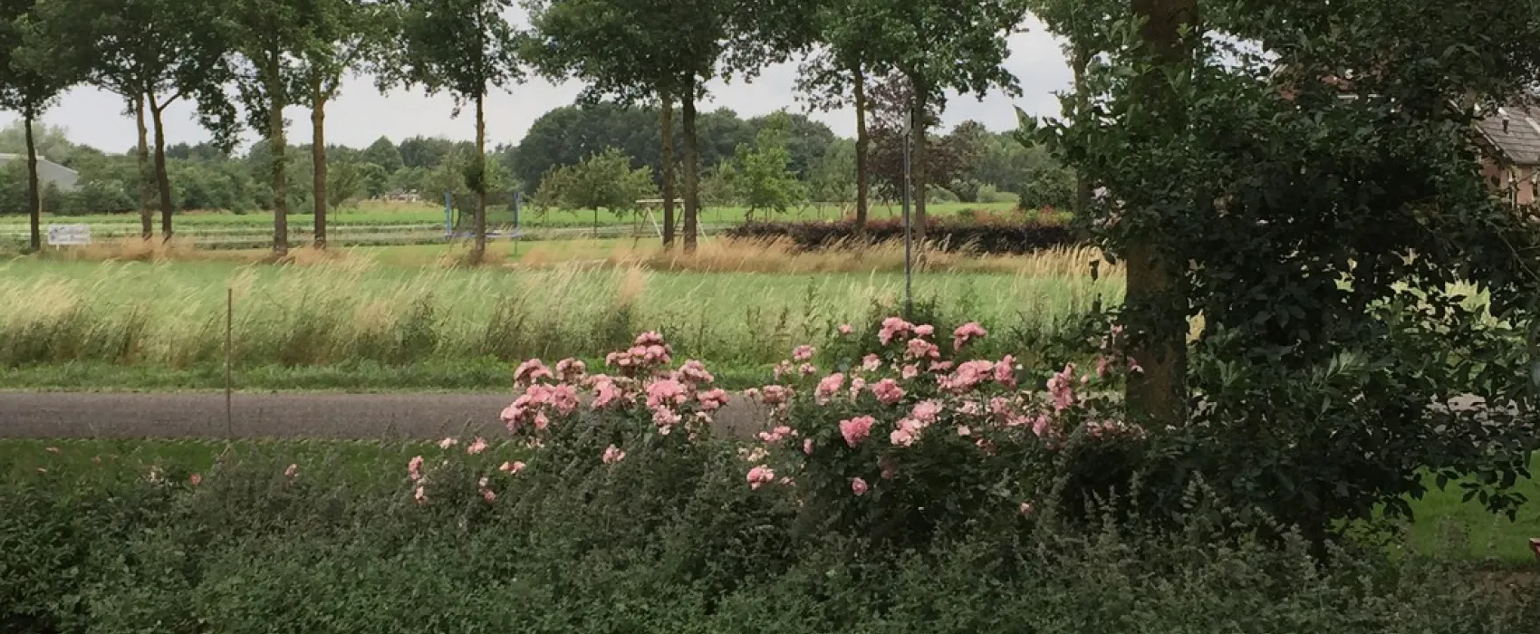 Vakantieboerderij Erve Hesselink
