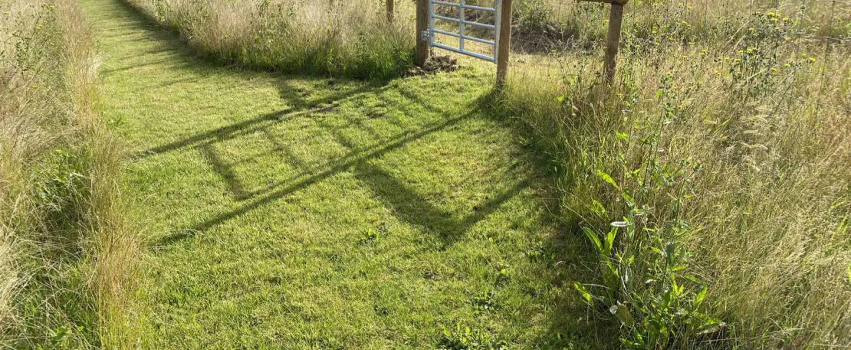 Thamesview Camping Certificated Site