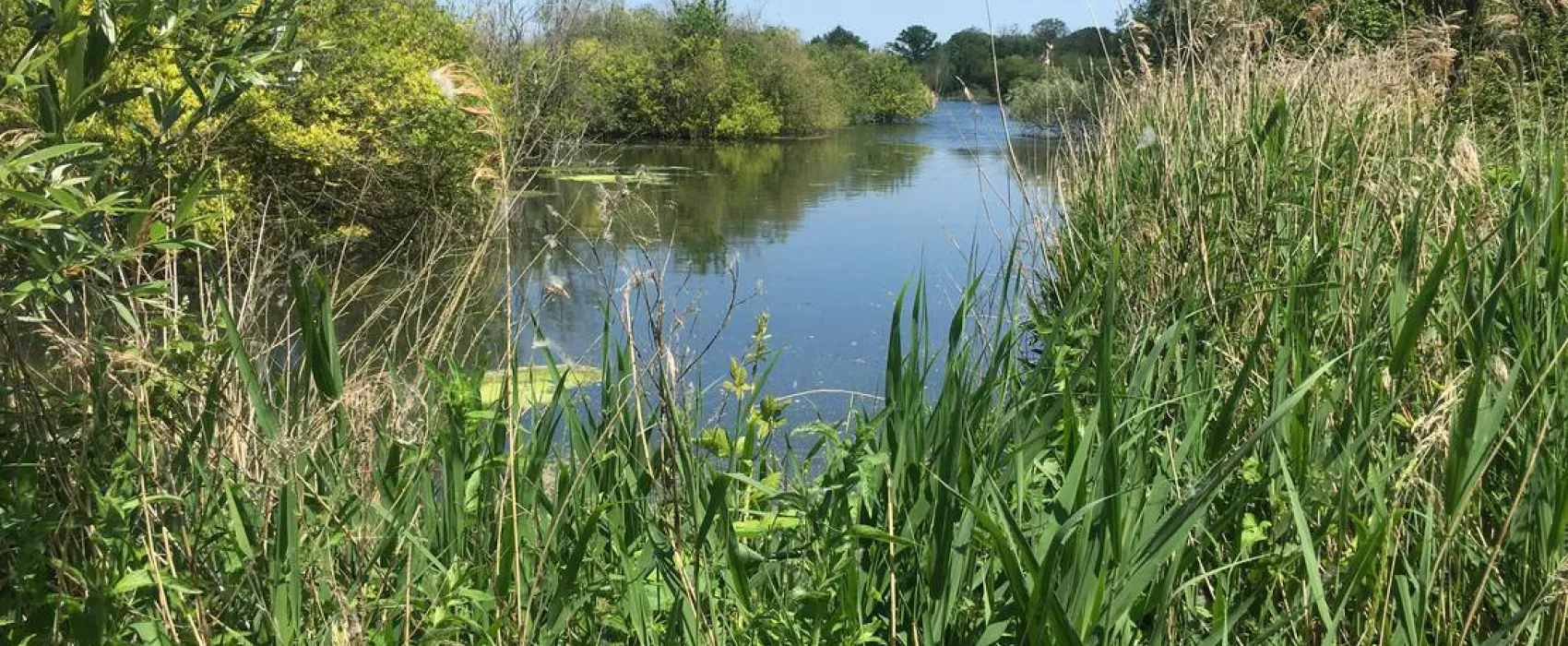 Thamesview Camping Certificated Site