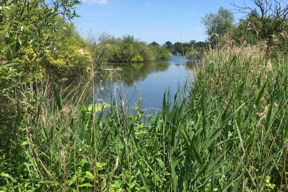 Thamesview Camping Certificated Site