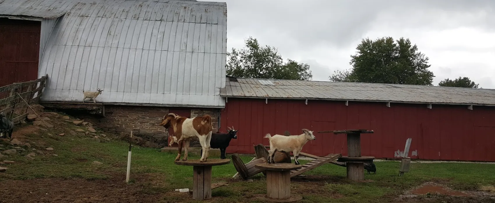 Gettysburg Farm RV Resort