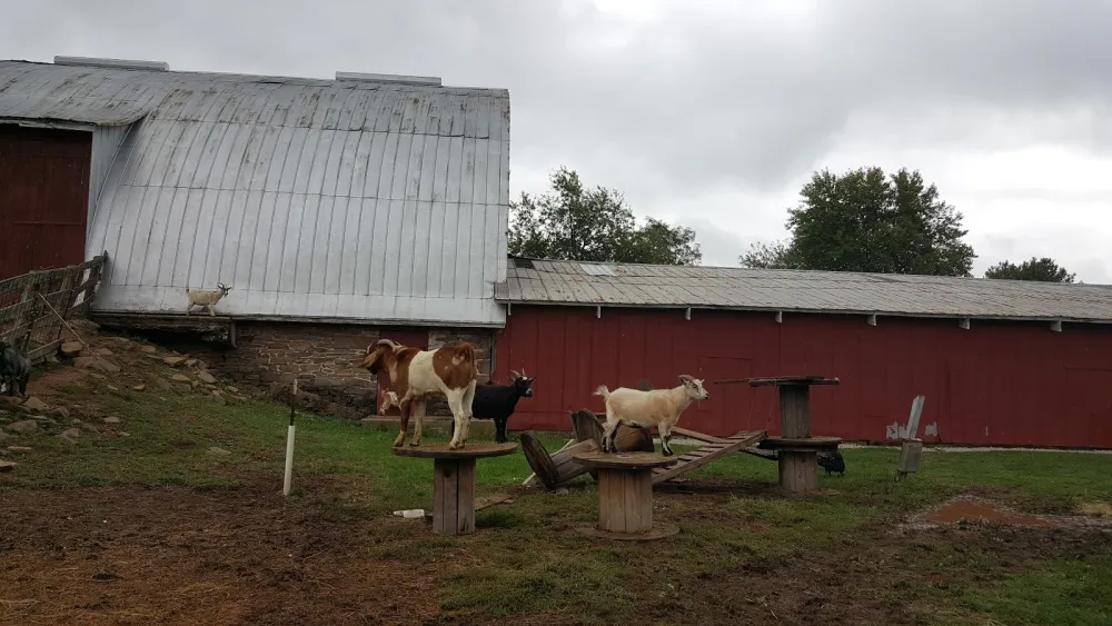 Gettysburg Farm RV Resort