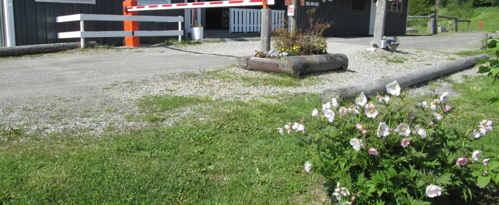 Härnösand - Antjärns Camping och stugby