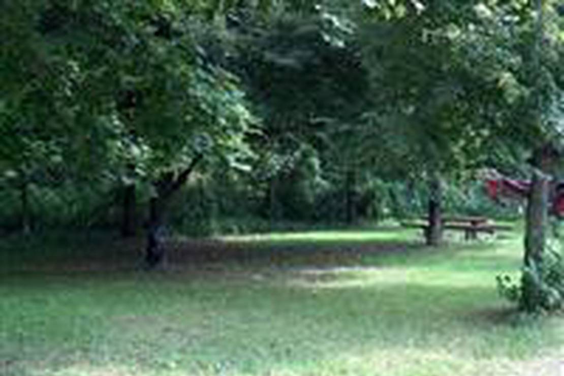 Diósjenői Camping és Faházak photo 3