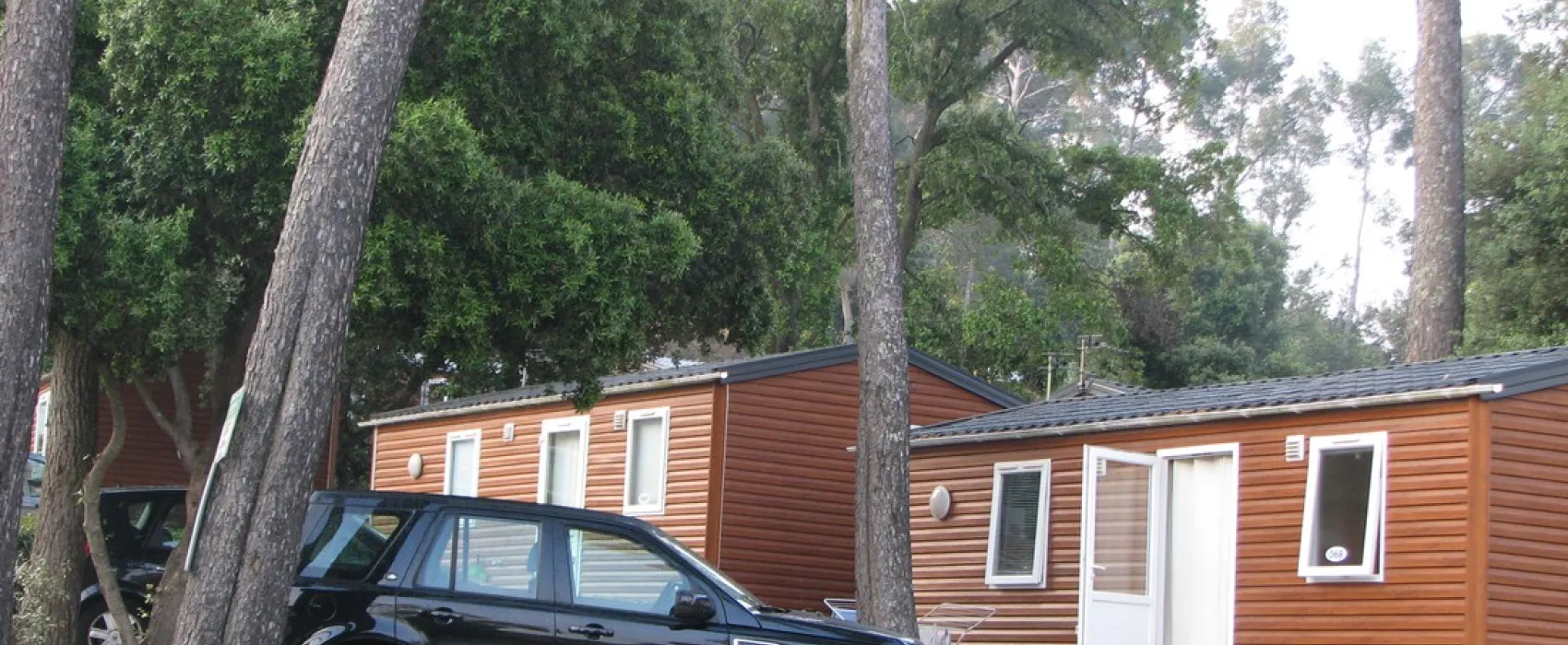 Domaine de La Fôret de Janas