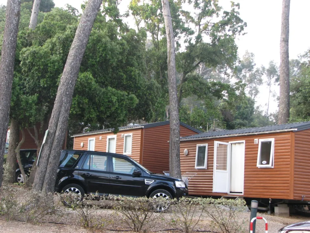 Domaine de La Fôret de Janas