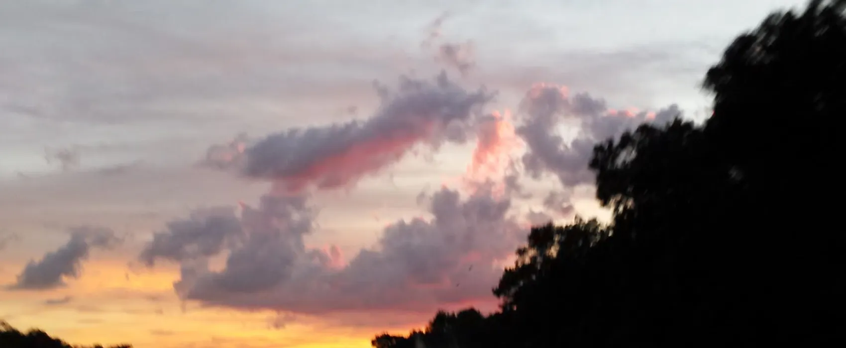 Ridge Manor Campground