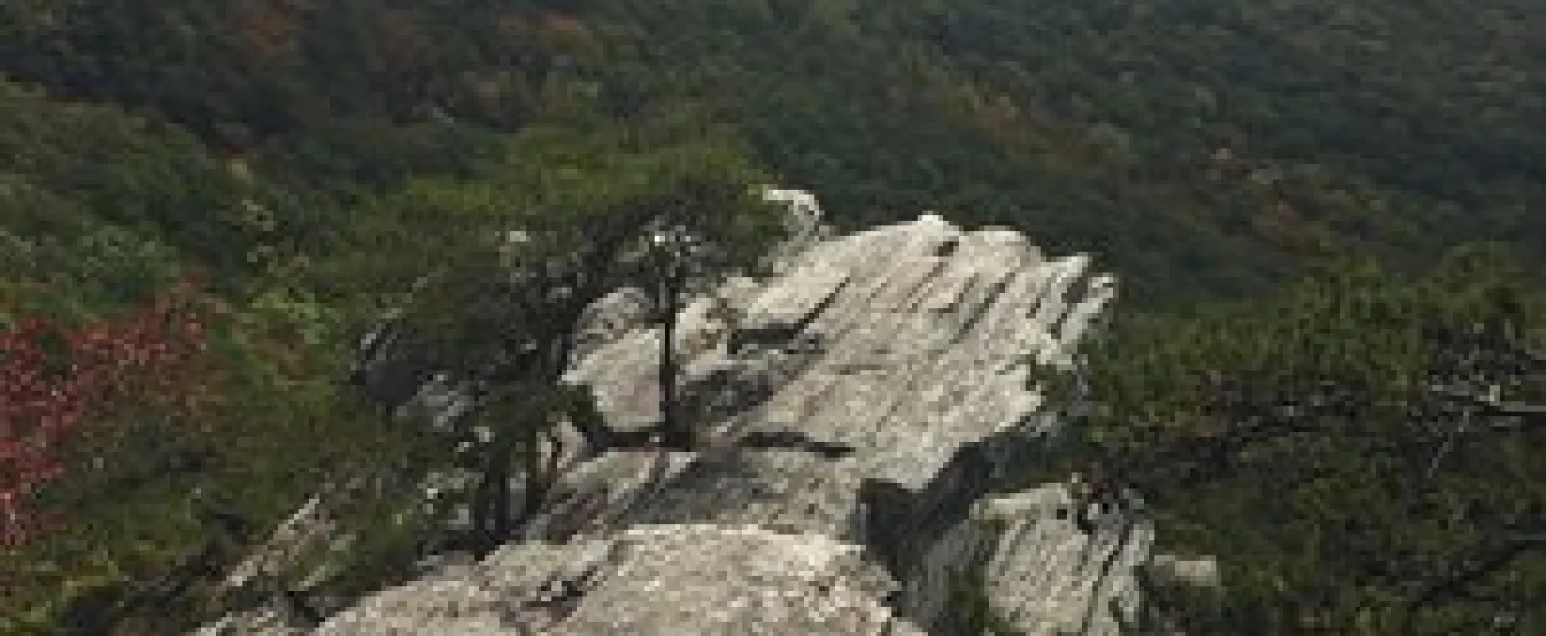 Cheaha State Park