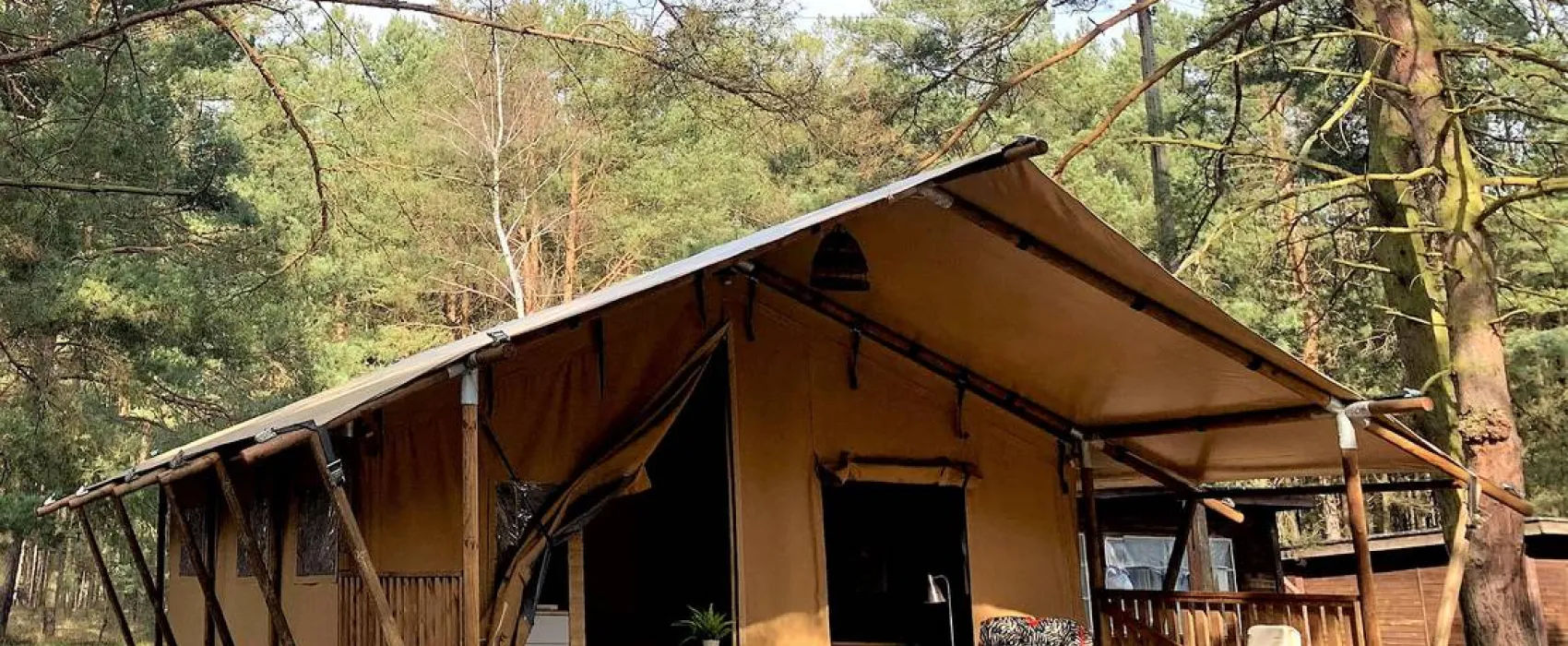 Camp Bursztynowy Las