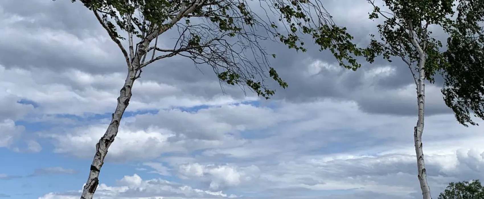 Camp Bursztynowy Las