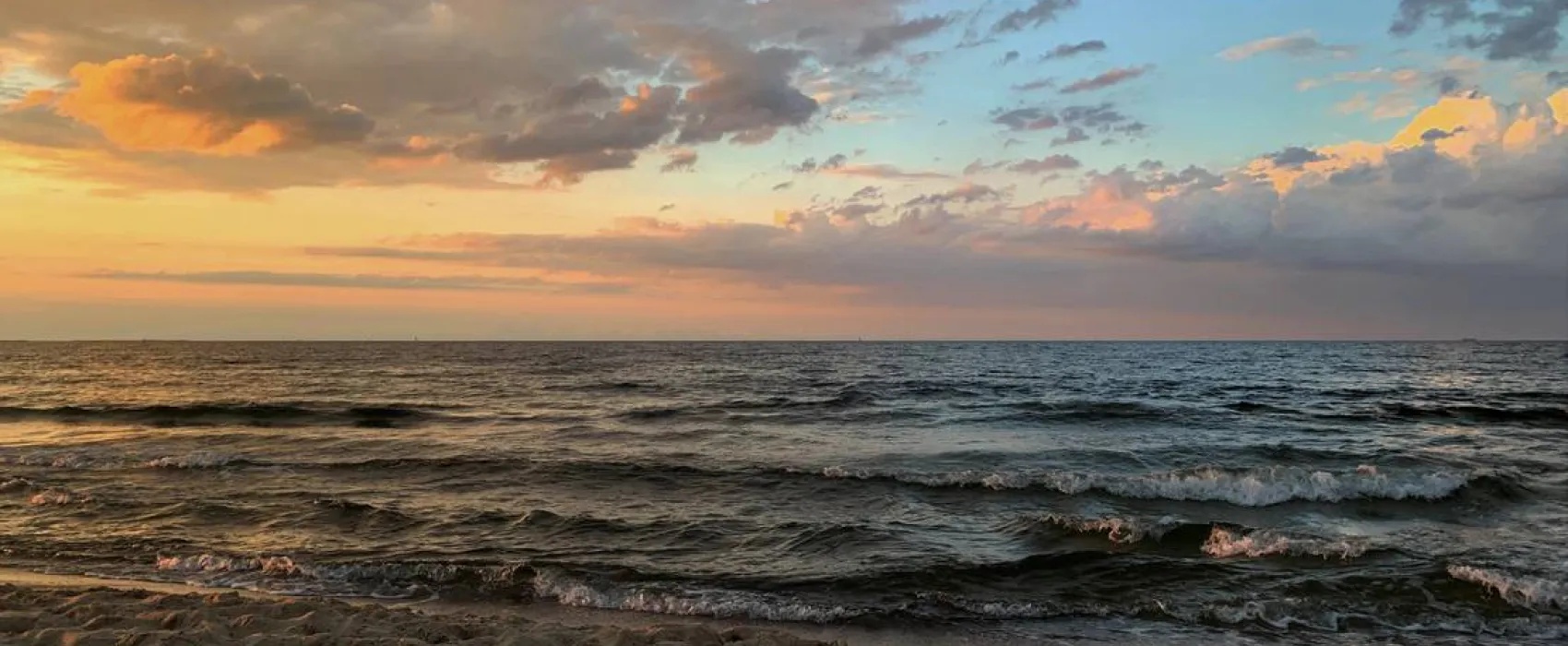 Camp Bursztynowy Las