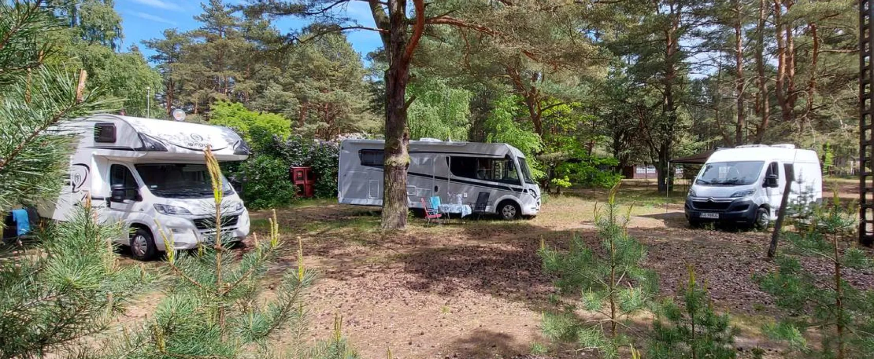 Camp Bursztynowy Las