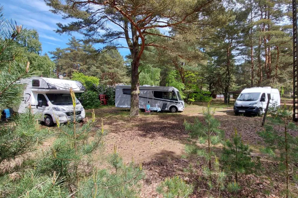 Camp Bursztynowy Las