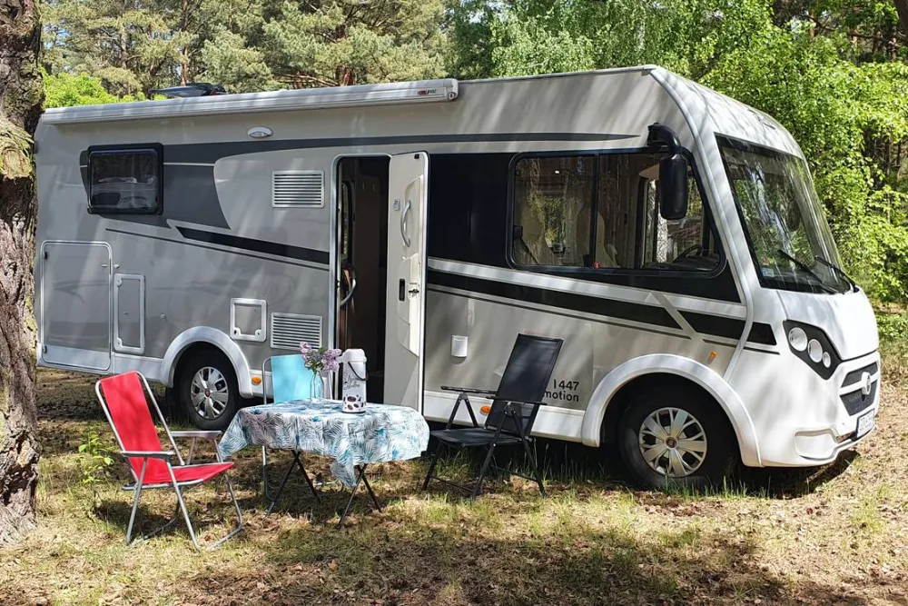 Camp Bursztynowy Las